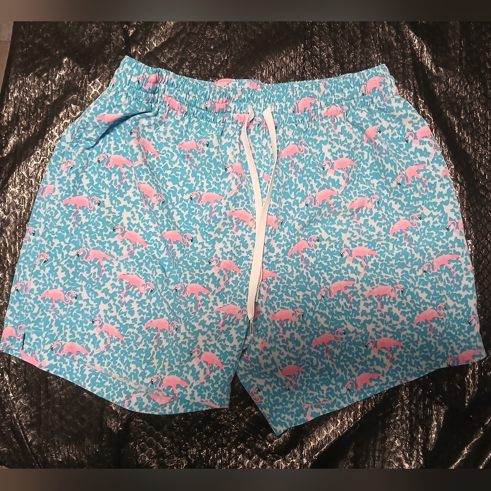 chubbies Turquoise and Pink Swim Trunks